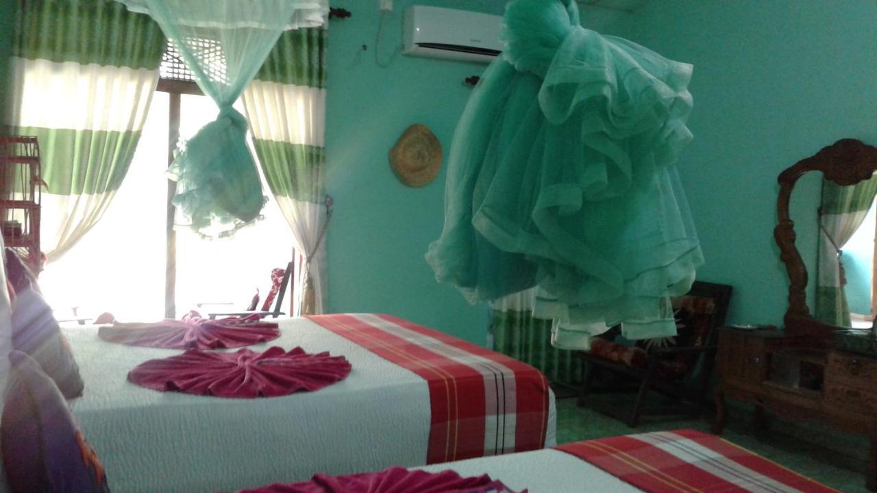 Flower Inn Szigirija Kültér fotó